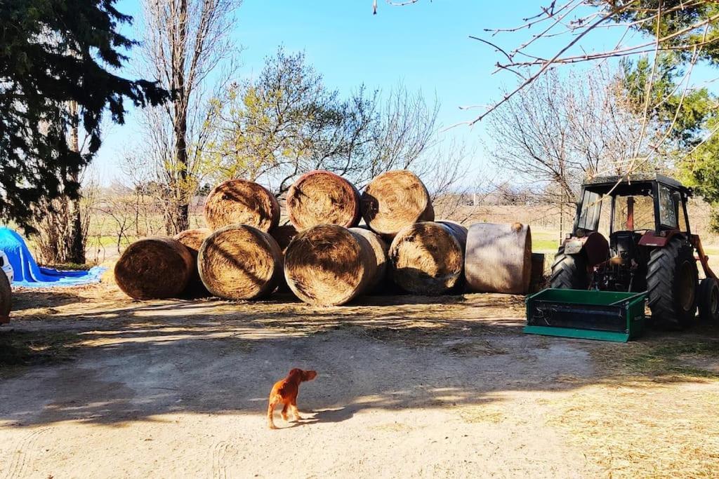 Au Coeur De La Nature Coursan Zewnętrze zdjęcie